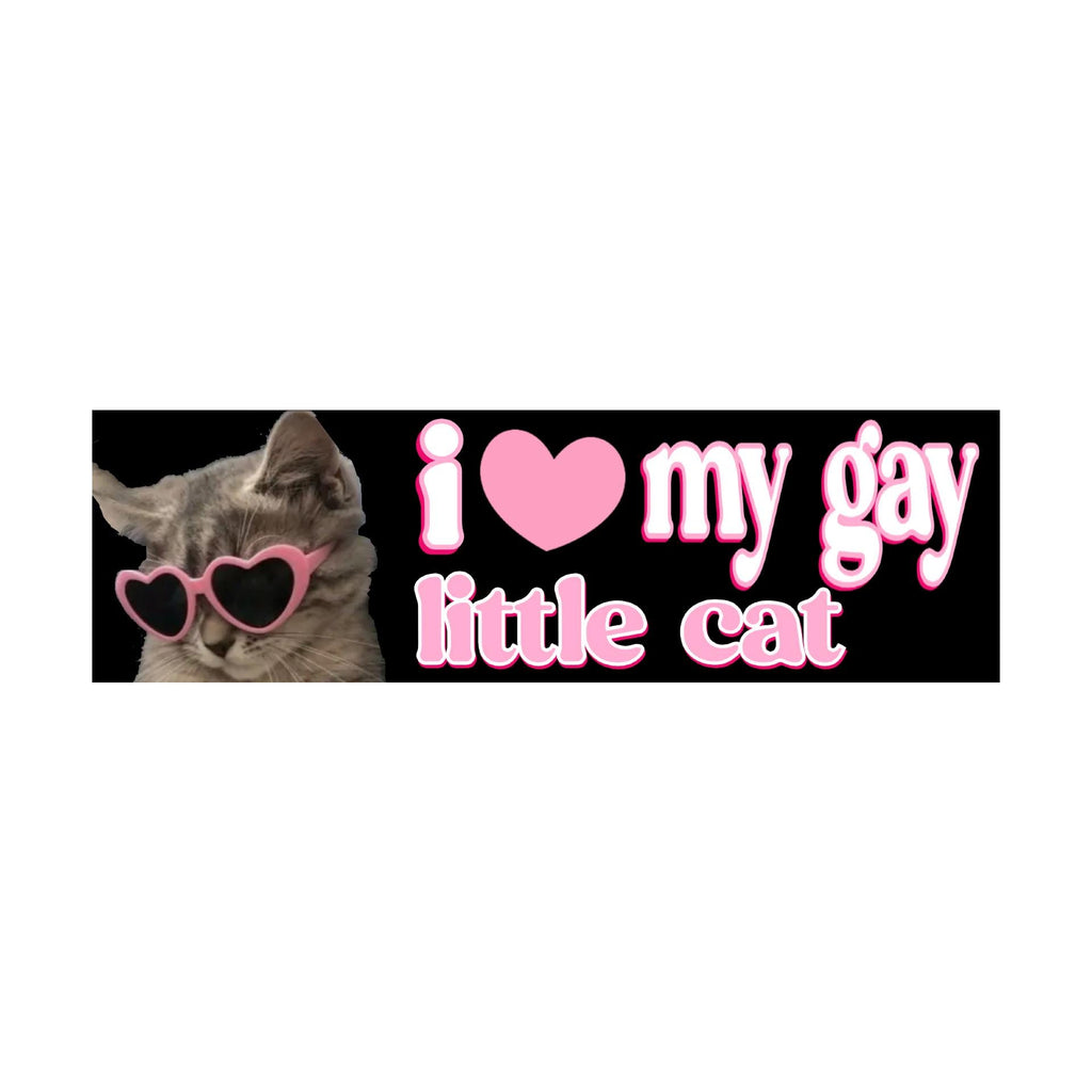 I Love My Gay Little Cat Bumper Sticker | Funny Sticker | Laptop Sticker | 8.5" x 2.5" Premium Weather-proof Vinyl