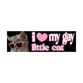 I Love My Gay Little Cat Bumper Sticker | Funny Sticker | Laptop Sticker | 8.5" x 2.5" Premium Weather-proof Vinyl
