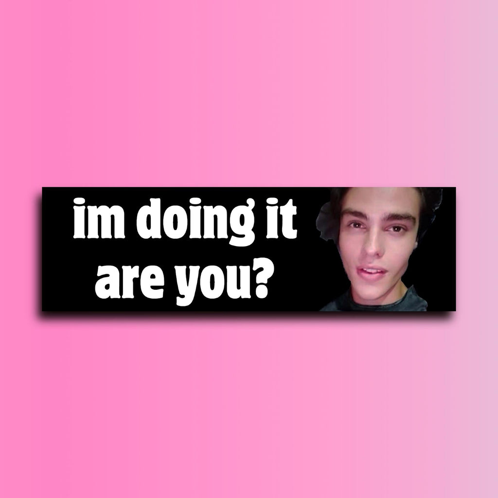 Im Doing It Are You Bumper Sticker OR Magnet | Meme Sticker | Unhinged Gen Z Sticker | 8.5" x 2.5" Premium Weather-proof Vinyl