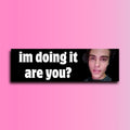 Im Doing It Are You Bumper Sticker OR Magnet | Meme Sticker | Unhinged Gen Z Sticker | 8.5" x 2.5" Premium Weather-proof Vinyl