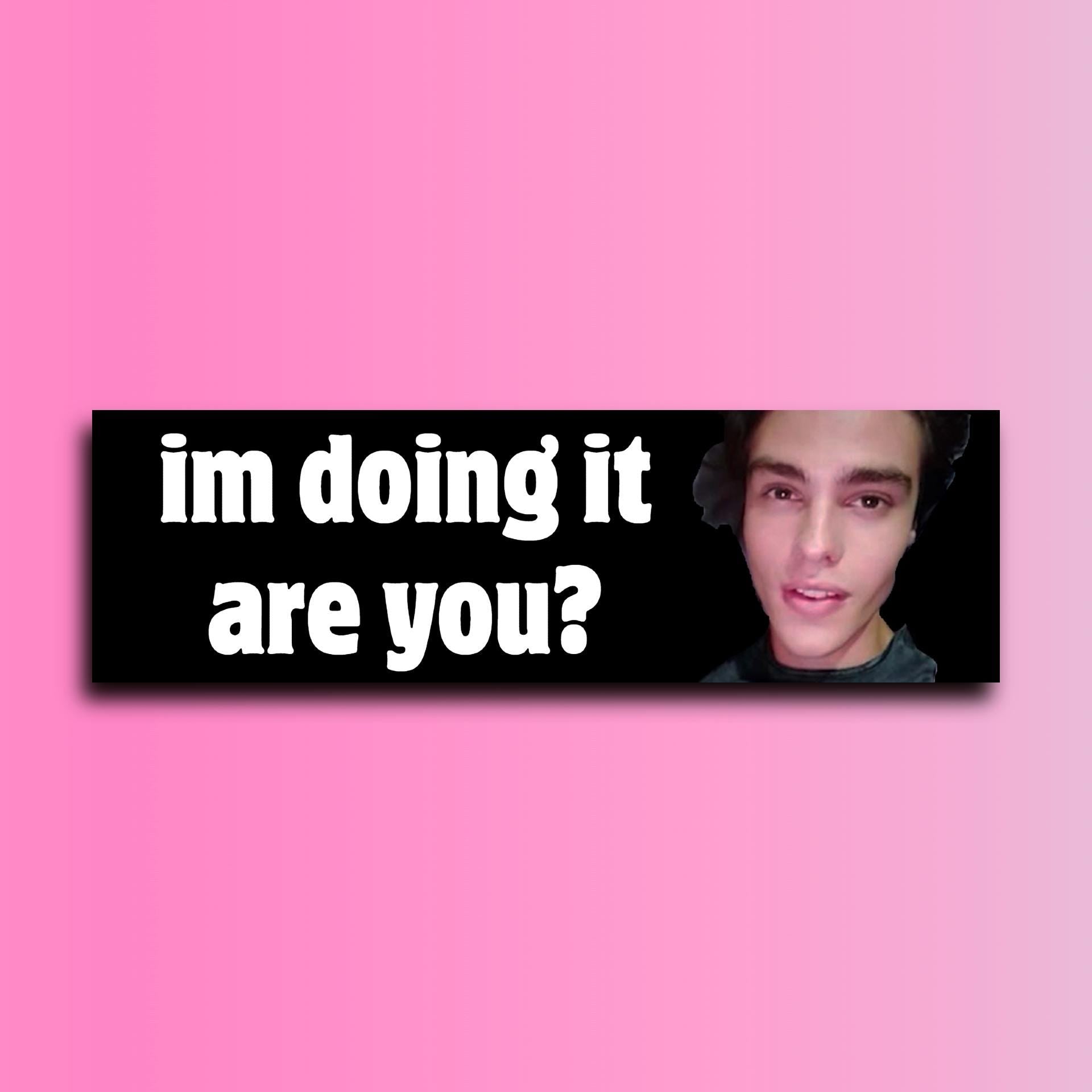 Im Doing It Are You Bumper Sticker OR Magnet | Meme Sticker | Unhinged Gen Z Sticker | 8.5" x 2.5" Premium Weather-proof Vinyl