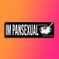 Im Pansexual Particularly Stainless-Steel Bumper sticker | Meme Sticker | Laptop sticker | 8.5" x 2.5" Premium Weather-proof Vinyl