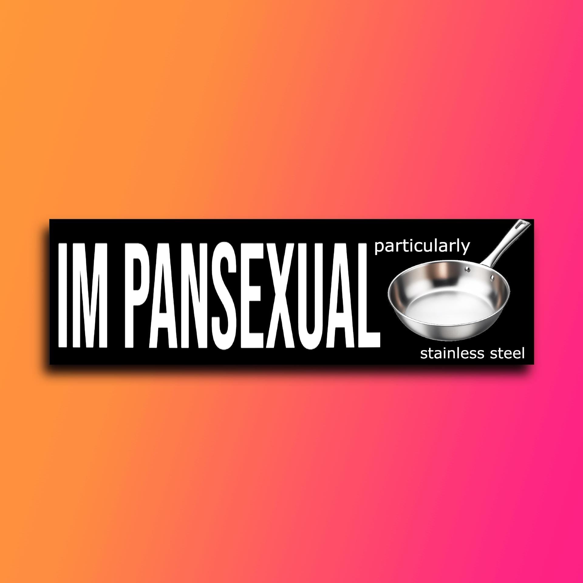 Im Pansexual Particularly Stainless-Steel Bumper sticker | Meme Sticker | Laptop sticker | 8.5" x 2.5" Premium Weather-proof Vinyl