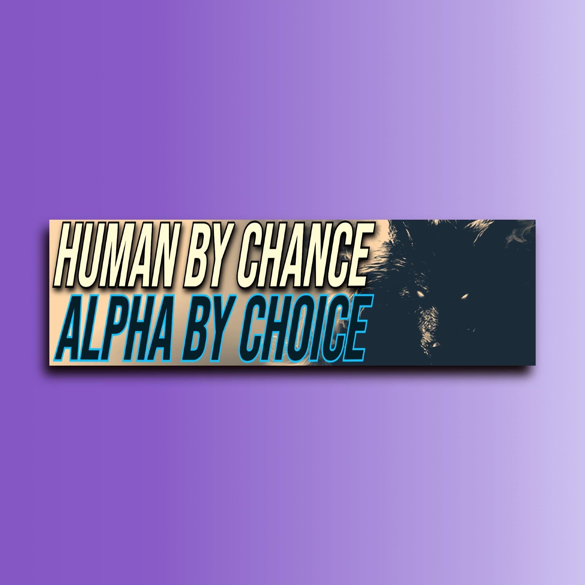 Bad Ass Unhinged Bumper Sticker OR Magnet Bundle | Meme Sticker | Cute Gen Z | Laptop Stickers | 8.5" x 2.5" Premium Weather-proof Vinyl