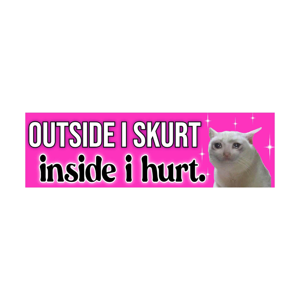 Unhinged Cat Bumper Stickers OR Magnets Bundle | Cute Car Stickers | Gen Z stickers | 8.5" x 2.5" Premium Weather-proof Vinyl