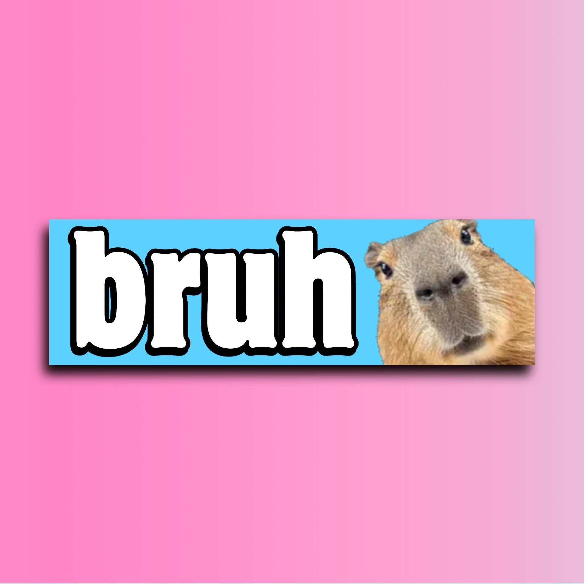 Capybara Bruh Bumper Sticker OR Magnet | Funny Sticker | Cute Gen Z Sticker | 8.5" x 2.5" Premium Weather-proof Vinyl