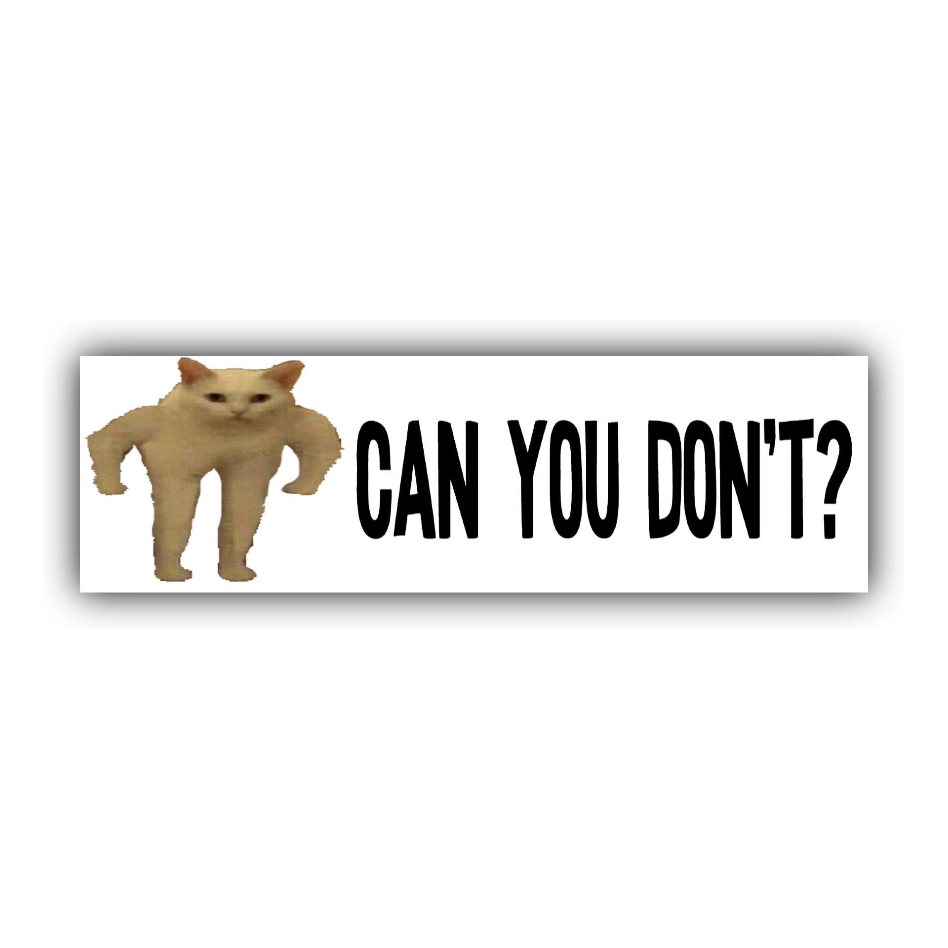 Unhinged Cat Bumper Stickers OR Magnets Bundle | Cute Car Stickers | Gen Z stickers | 8.5" x 2.5" Premium Weather-proof Vinyl