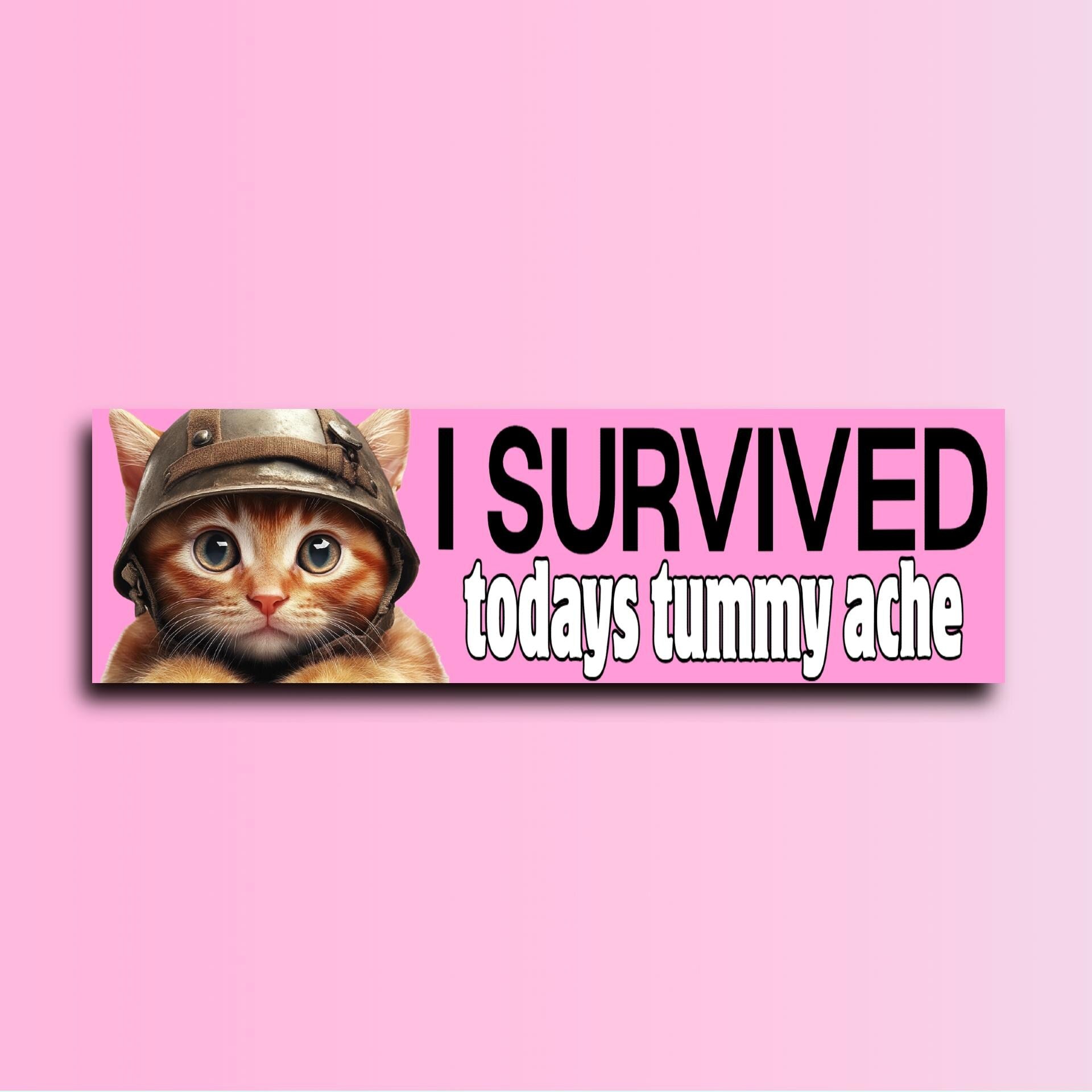 I Survived Today's Tummy Ache Cat Bumper Sticker OR Magnet | Unhinged Cute Gen Z | Meme Decor | 8.5" x 2.5" Premium Weather-proof Vinyl