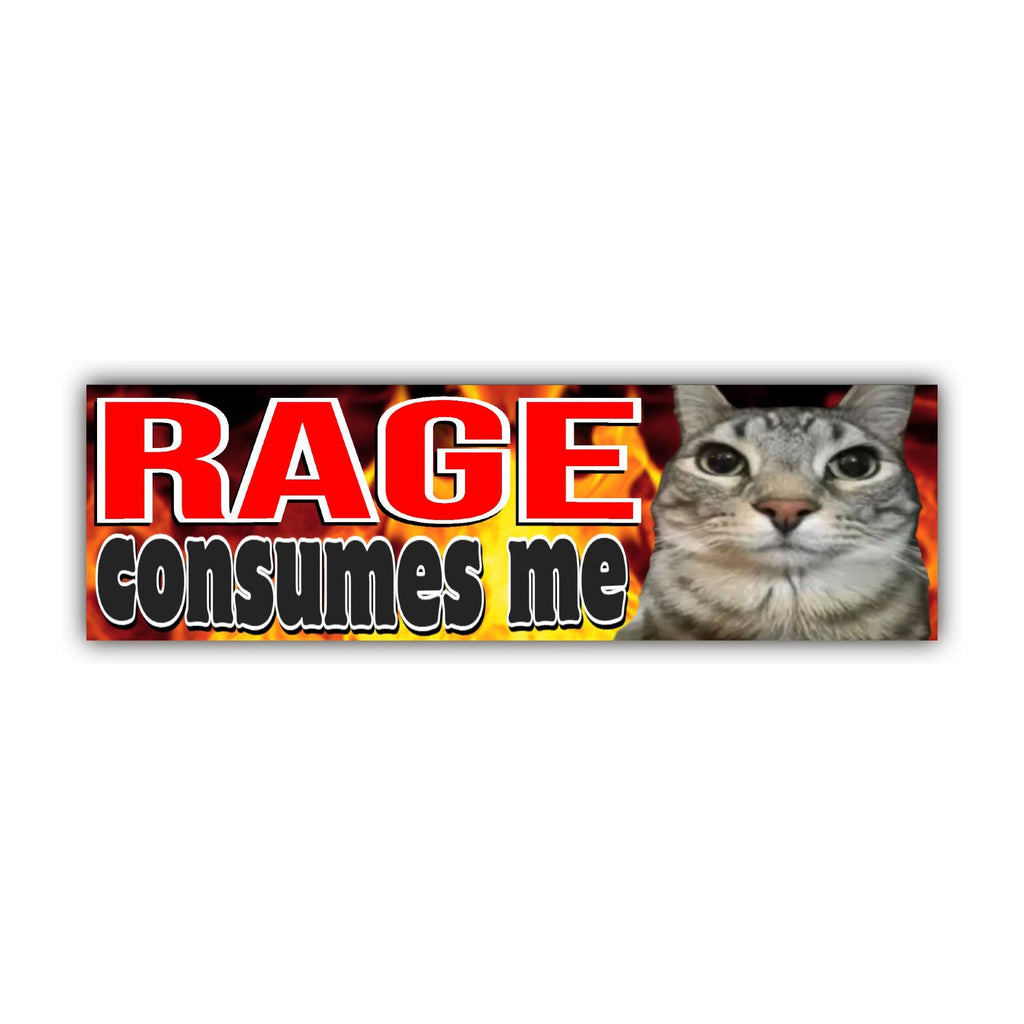 Rage Consumes Me Cat Bumper Sticker OR Magnet | Meme Sticker | Unhinged Gen Z Decal | Cute Kitty | 8.5" x 2.5" Premium Weather-proof Vinyl