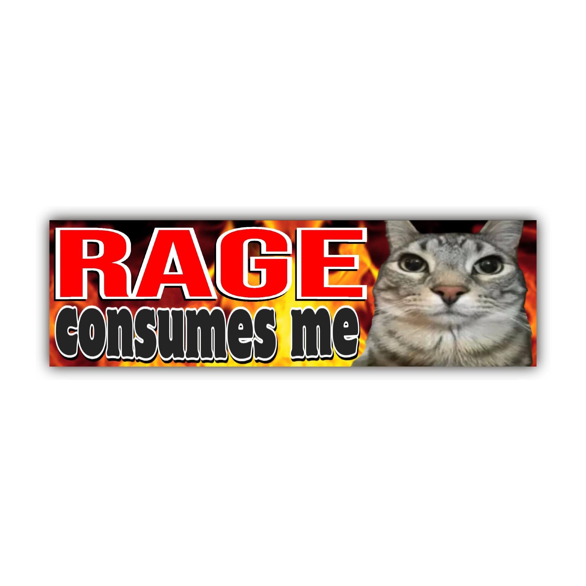 Rage Consumes Me Cat Bumper Sticker OR Magnet | Meme Sticker | Unhinged Gen Z Decal | Cute Kitty | 8.5" x 2.5" Premium Weather-proof Vinyl