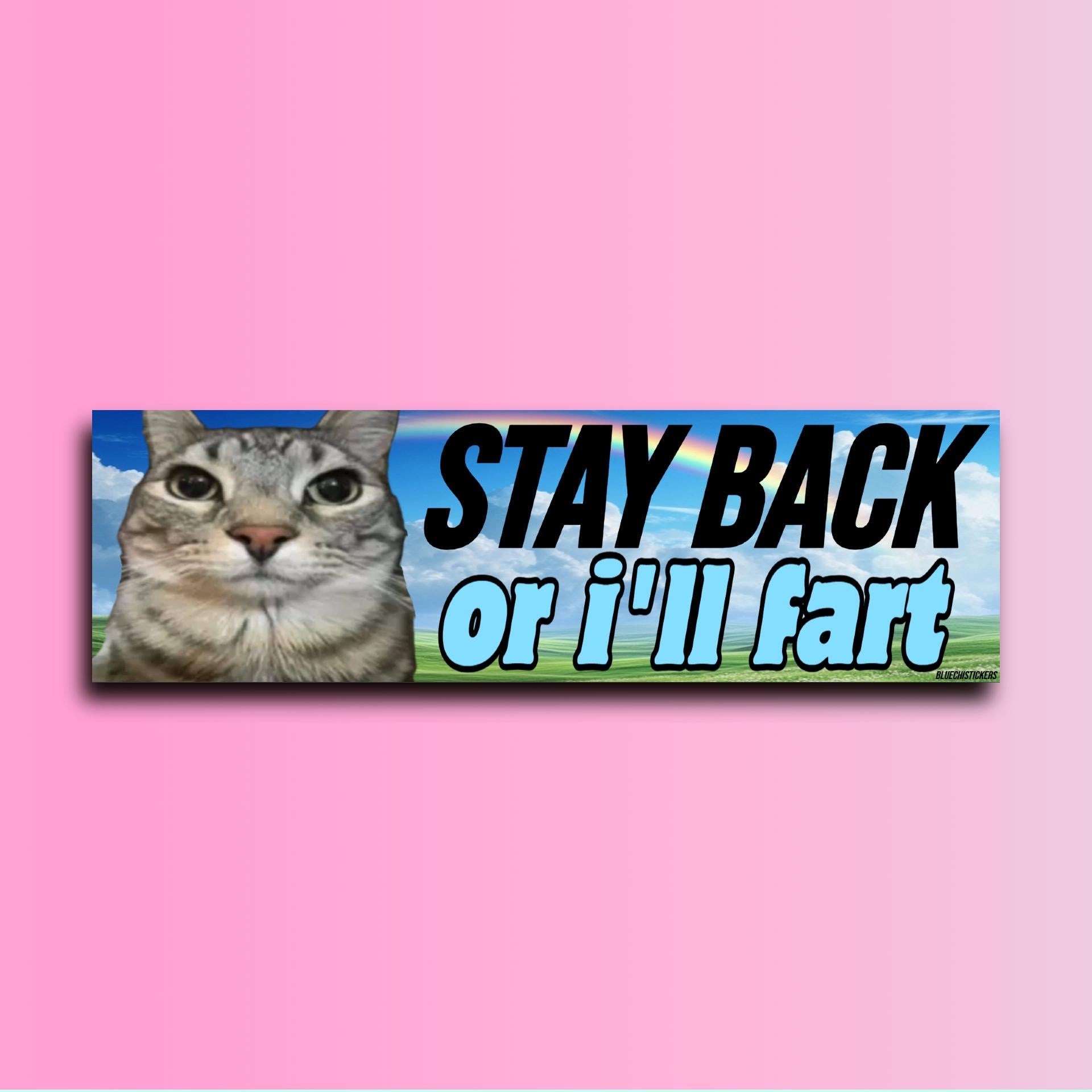 Stay Back Or I'll Fart Bumper Sticker OR Magnet | Meme Design | Unhinged Gen z Decal | Cute Magnet | 8.5" x 2.5" Premium Weather-proof Vinyl