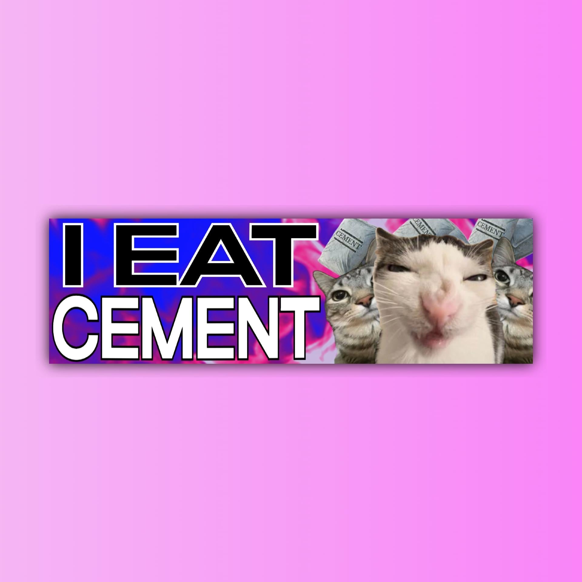 I Eat Cement Bumper Sticker OR Magnet | Meme Sticker | Unhinged Gen Z | Kitty Cat Decal | 8.5" x 2.5" Premium Weather-proof Vinyl