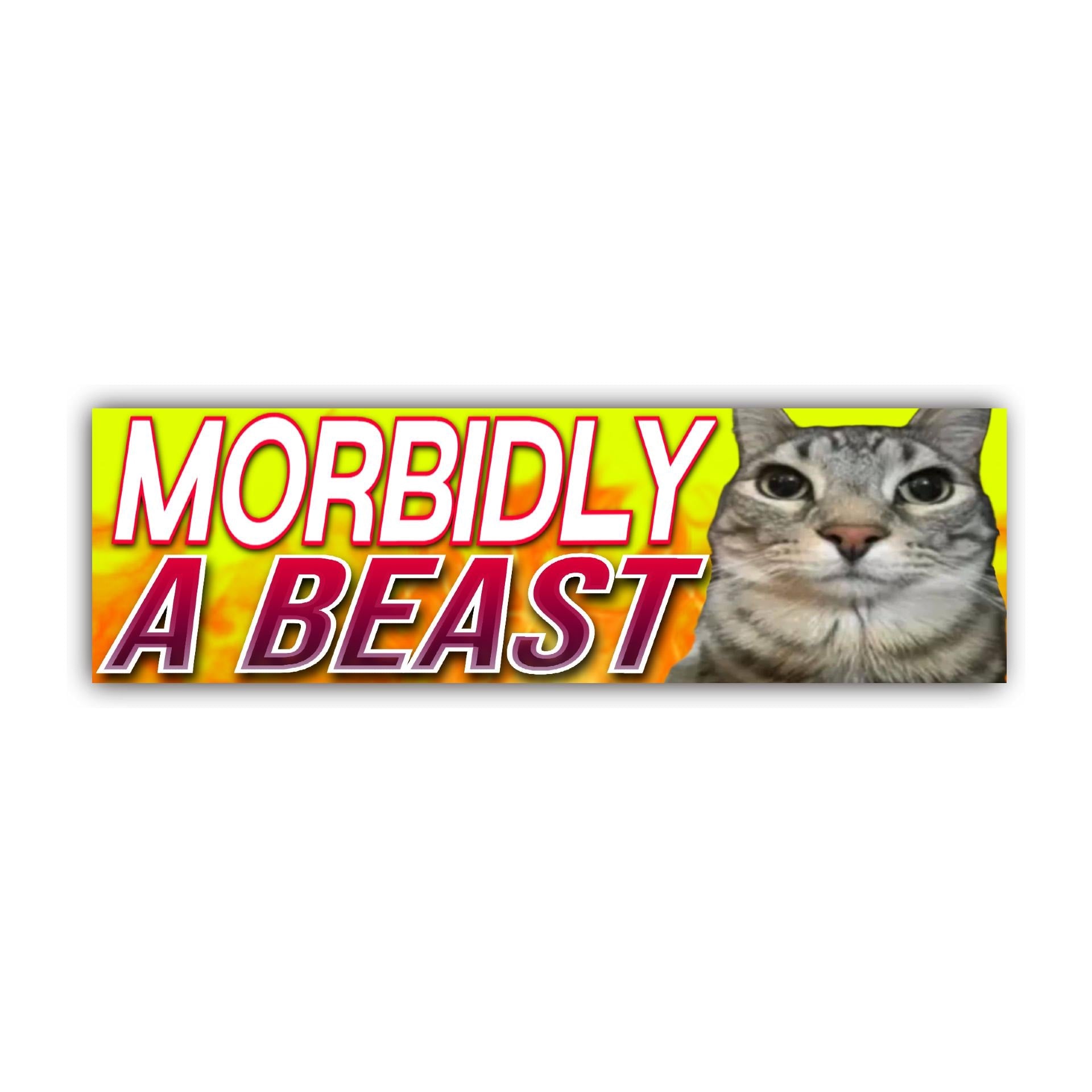 Morbidly A Beast Bumper Sticker OR Magnet | Meme Sticker | Unhinged Gen Z Decal | Cute Cat Design | 8.5" x 2.5" Premium Weather-proof Vinyl