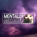Mentally Unstable Bumper Sticker OR Magnet | Unhinged Meme Sticker | Cute Cat Decal | Gen Z | 8.5" x 2.5" Premium Weather-proof Vinyl