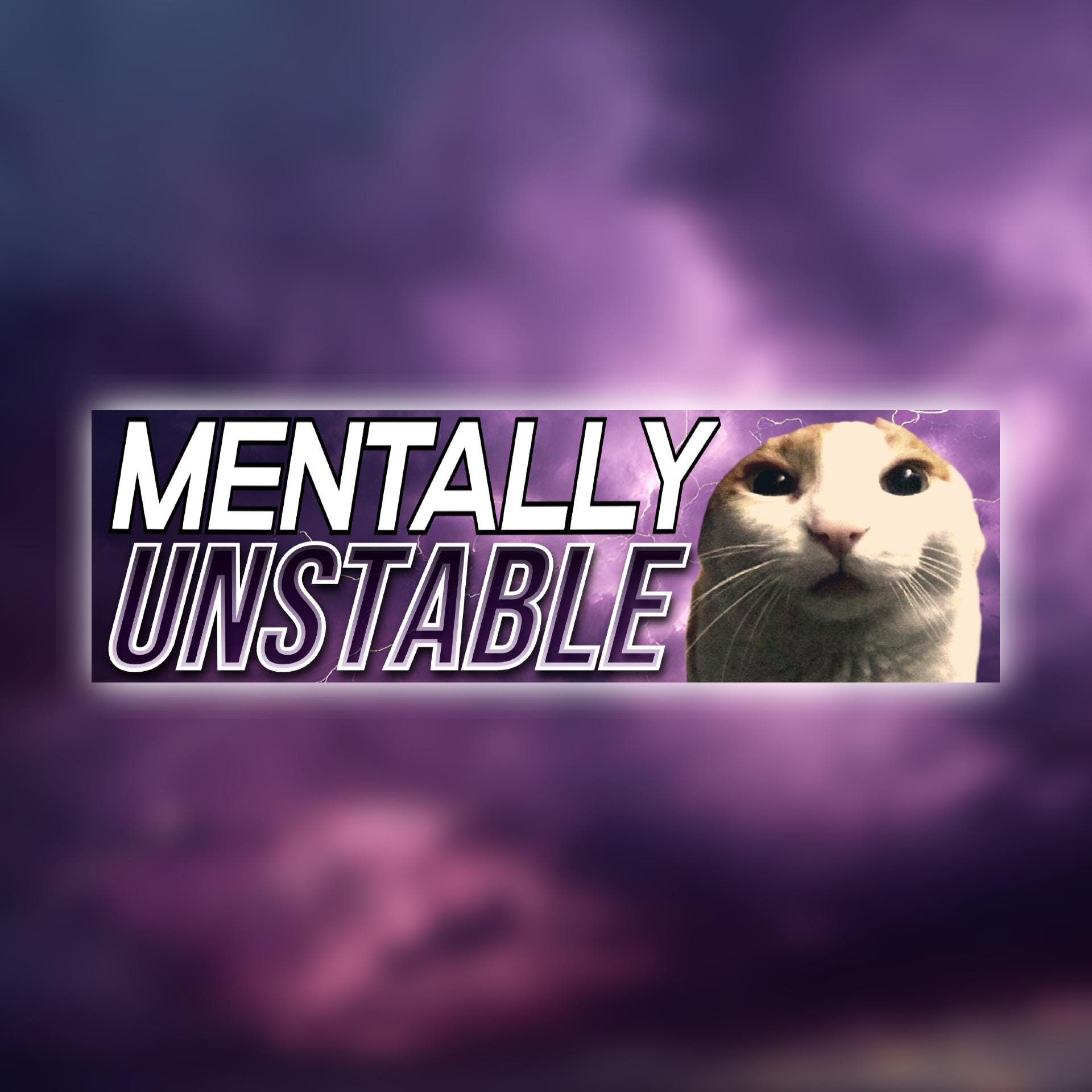 Mentally Unstable Bumper Sticker OR Magnet | Unhinged Meme Sticker | Cute Cat Decal | Gen Z | 8.5" x 2.5" Premium Weather-proof Vinyl