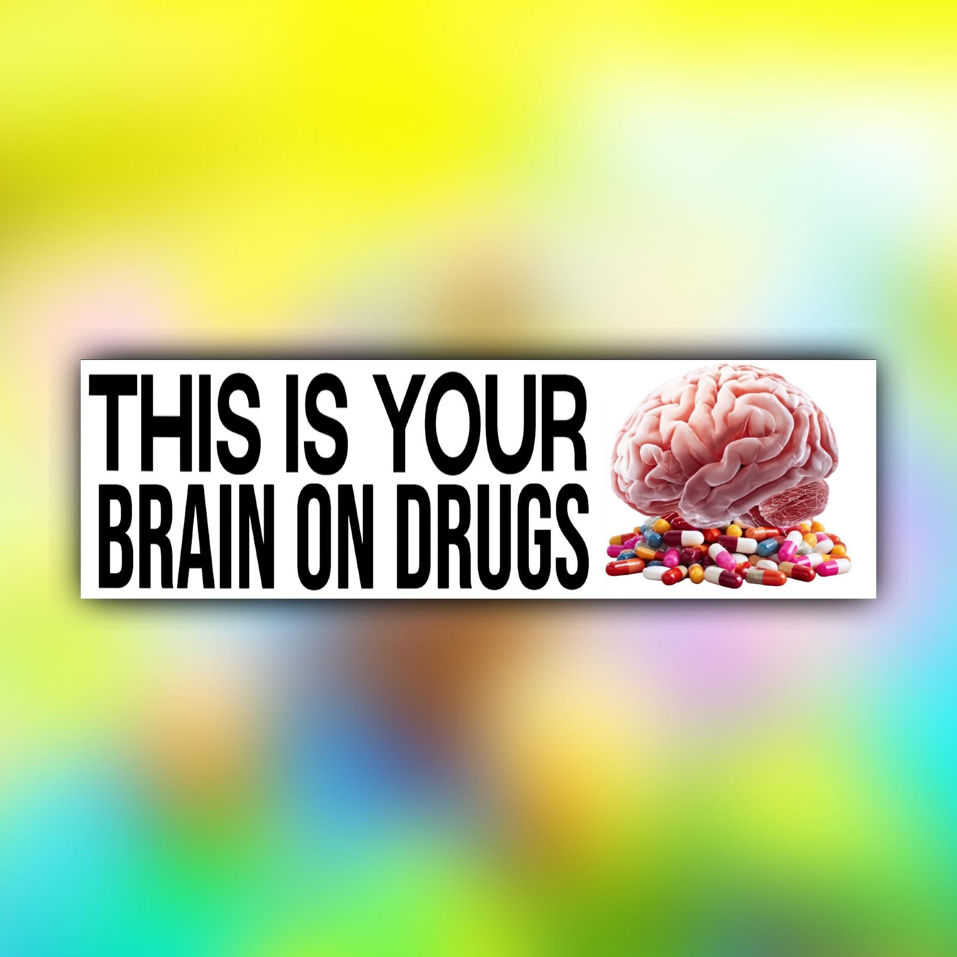 This Is Your Brain on Drugs Bumper Sticker OR Magnet | Funny Sticker | Meme Decal | 8.5" x 2.5" Premium Weather-proof Vinyl