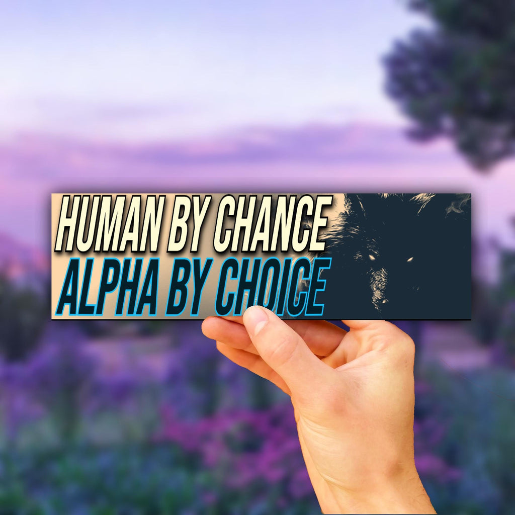 Human by Chance Alfa by Choice Bumper Sticker OR Magnet | Meme Sticker | Unhinged Gen Z Sticker | 8.5" x 2.5" Premium Weather-proof Vinyl