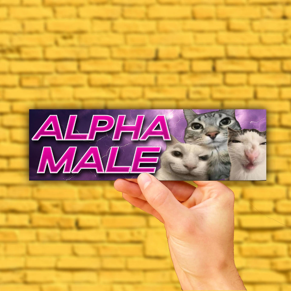 Alpha Male Cat Bumper Sticker OR Magnet | Gen Z Humor | unhinged Funny Joke gift | 8.5" x 2.5" Premium Weather-proof Vinyl