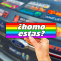 Homo Estas Bumper Sticker OR Magnet | Unhinged Meme | Gen Z Humor | 8.5" x 2.5" Premium Weather-proof Vinyl