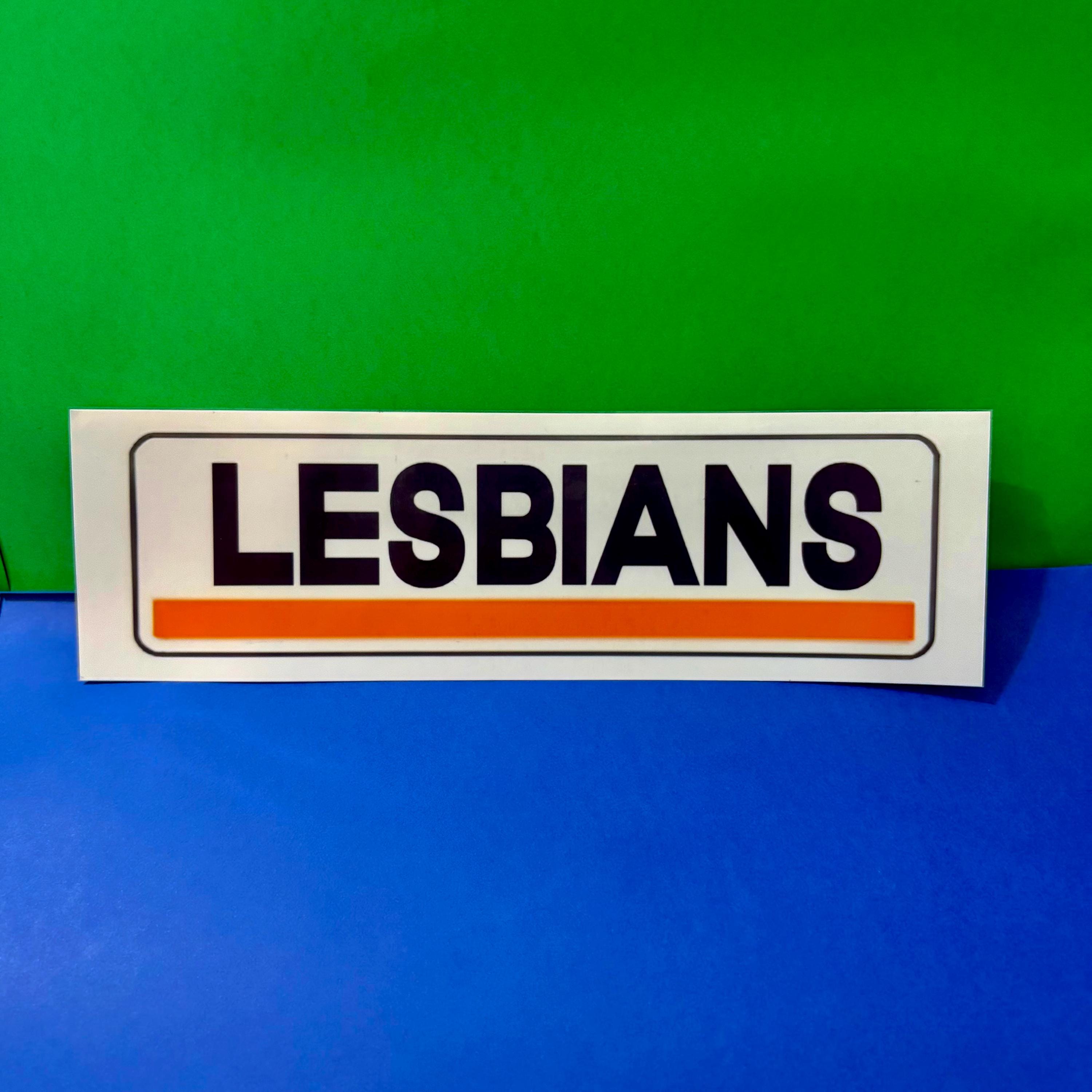 Lesbians Bumper Sticker OR Magnet | Unhinged Meme | Gen Z Humor | 8.5" x 2.5" Premium Weather-proof Vinyl