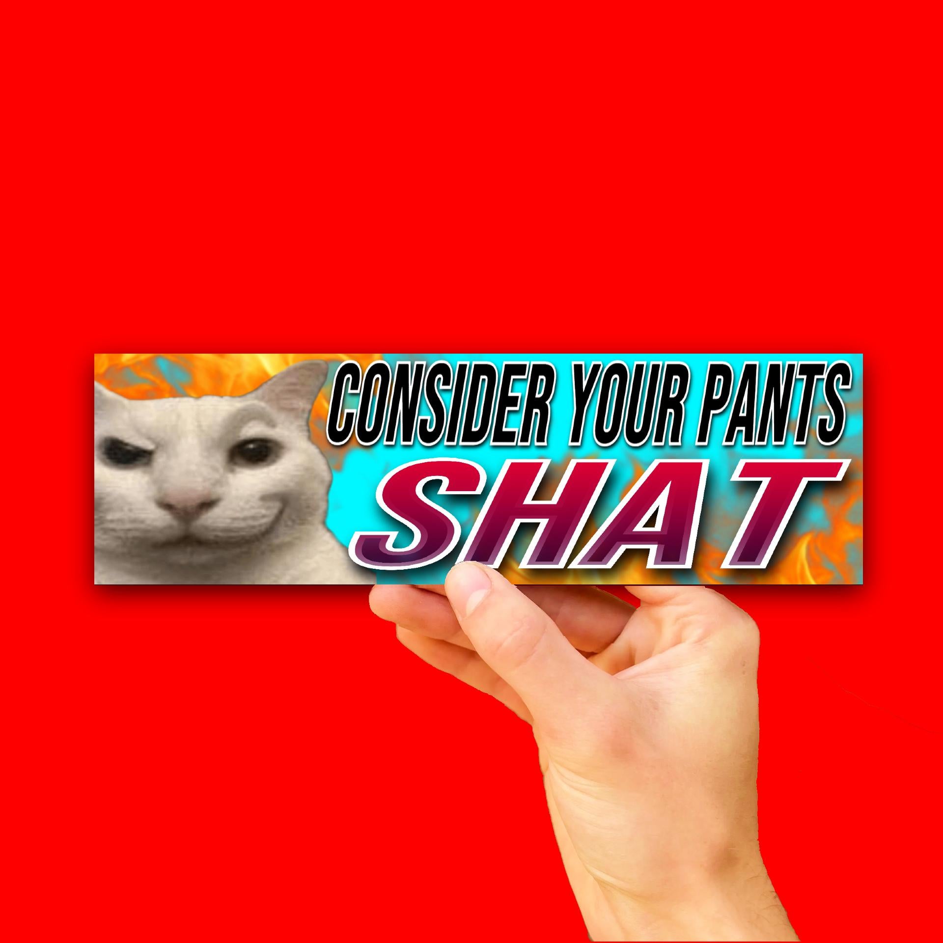 Consider Your Pants Shat Bumper Sticker OR Magnet | Unhinged Meme | Funny Hilarious | 8.5" x 2.5" Premium Weather-proof Vinyl