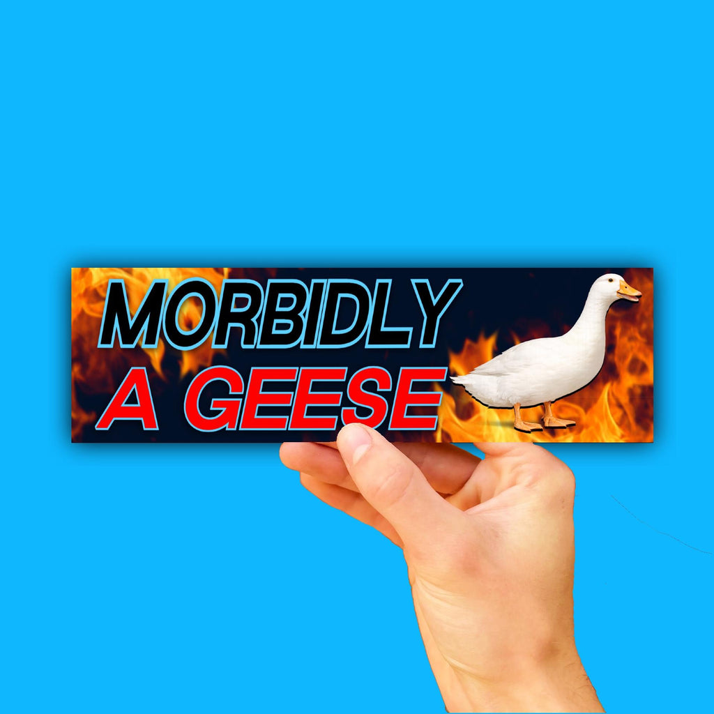 Morbidly A Geese Bumper Sticker OR Magnet | Unhinged Meme | Crazy Funny Decal | 8.5" x 2.5" Premium Weather-proof Vinyl