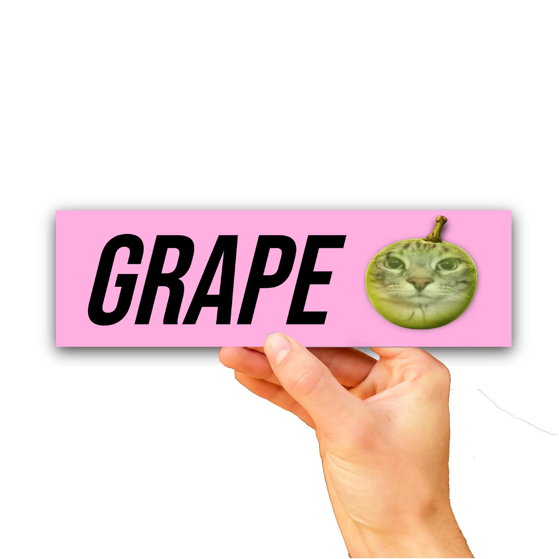 Grape Cat Bumper Sticker OR Magnet | Silly Goofy Kitty Decal | 8.5" x 2.5" Premium Weather-proof Vinyl