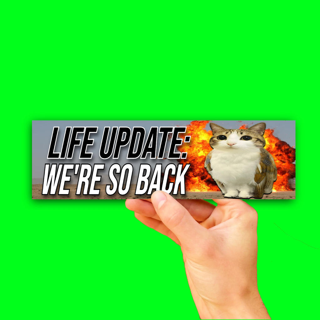 Life Update We're So Back Bumper Sticker OR Magnet | Funny Car Decal | 8.5" x 2.5" Premium Weather-proof Vinyl