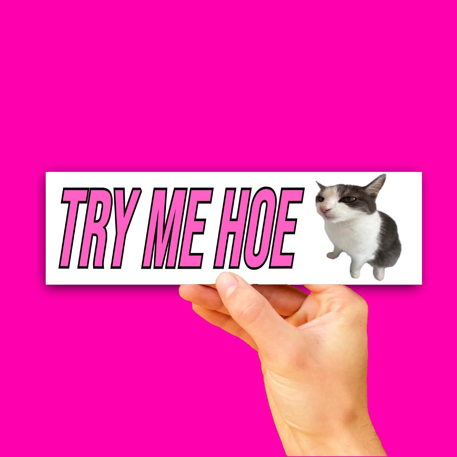 Try Me Hoe Bumper Sticker OR Magnet | Cute Car Decal | 8.5" x 2.5" Premium Weather-proof Vinyl
